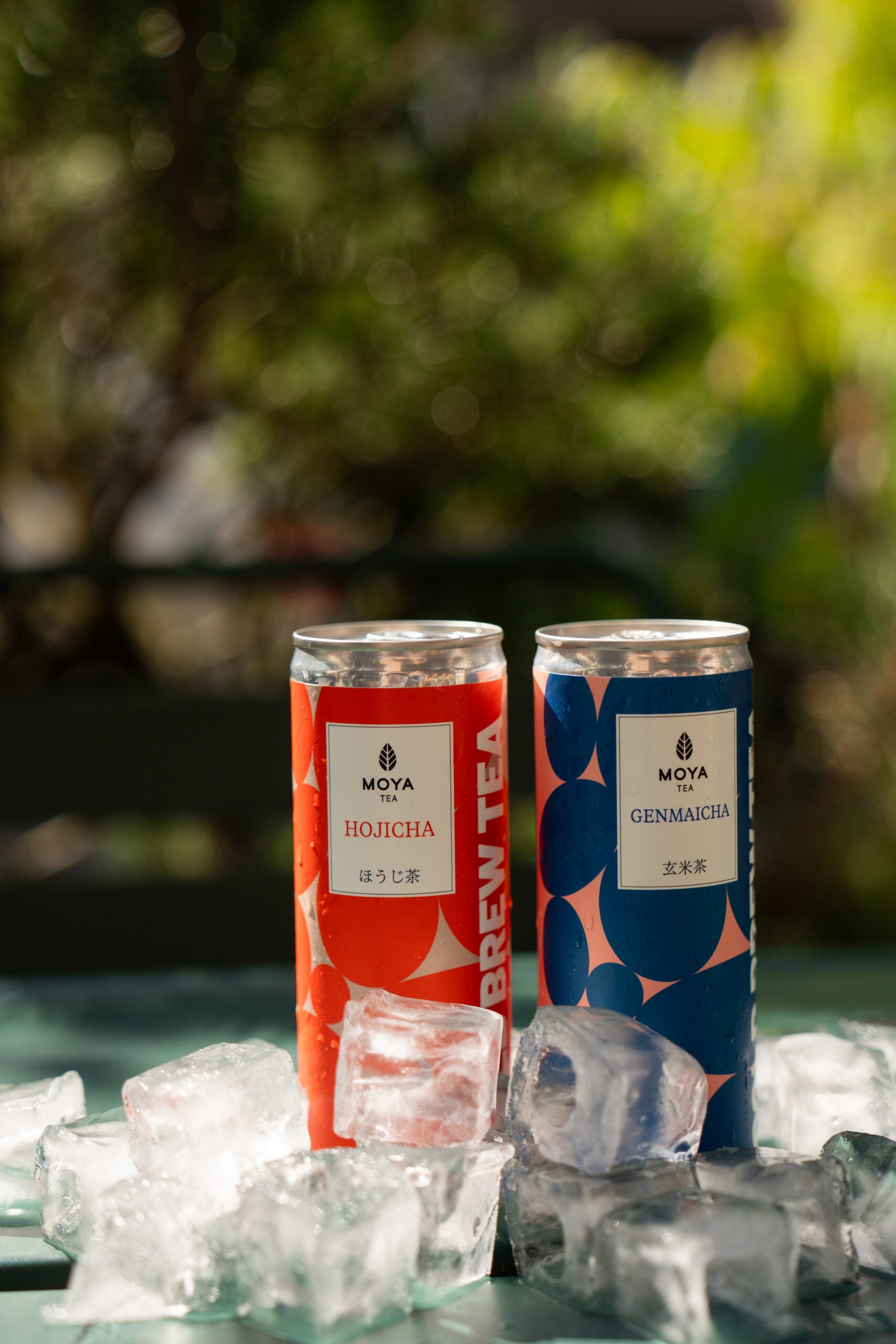 Moya Cold Brew Hojicha - napój w puszce 250 ml