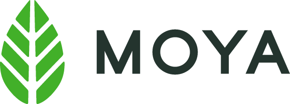 Moya Matcha