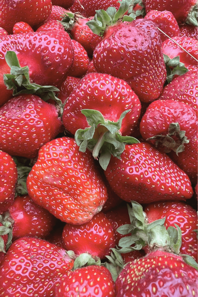 Strawberries