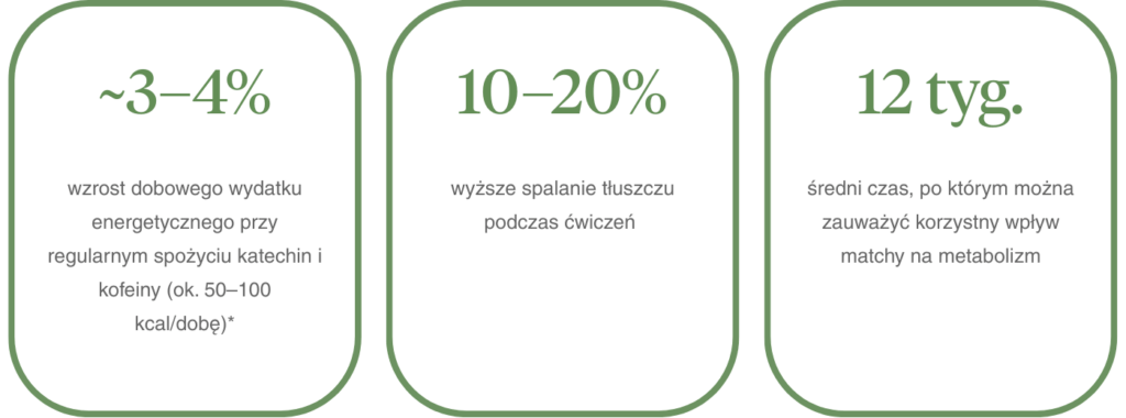Czy matcha może wspomagać odchudzanie?